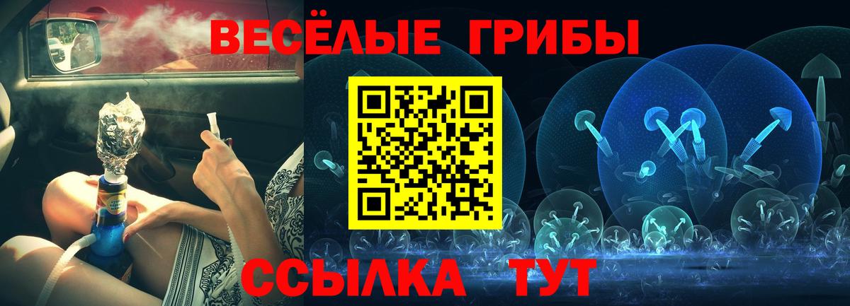 Кашира  Галлюциногенные грибы прущие грибы  Вход с VPN 